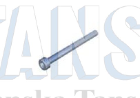 Hexagon socket head cap screw