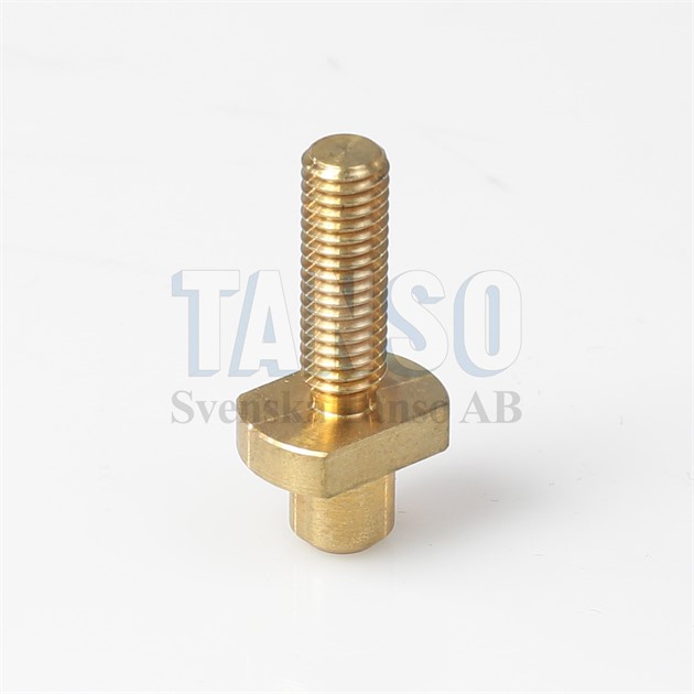 Special screw - brass