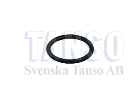 O-ring