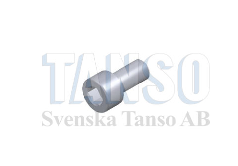 Special screw for power feed contact