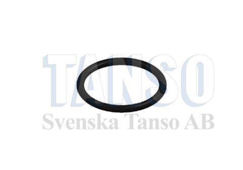 O-ring