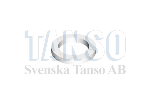 Backup ring - 10 pcs